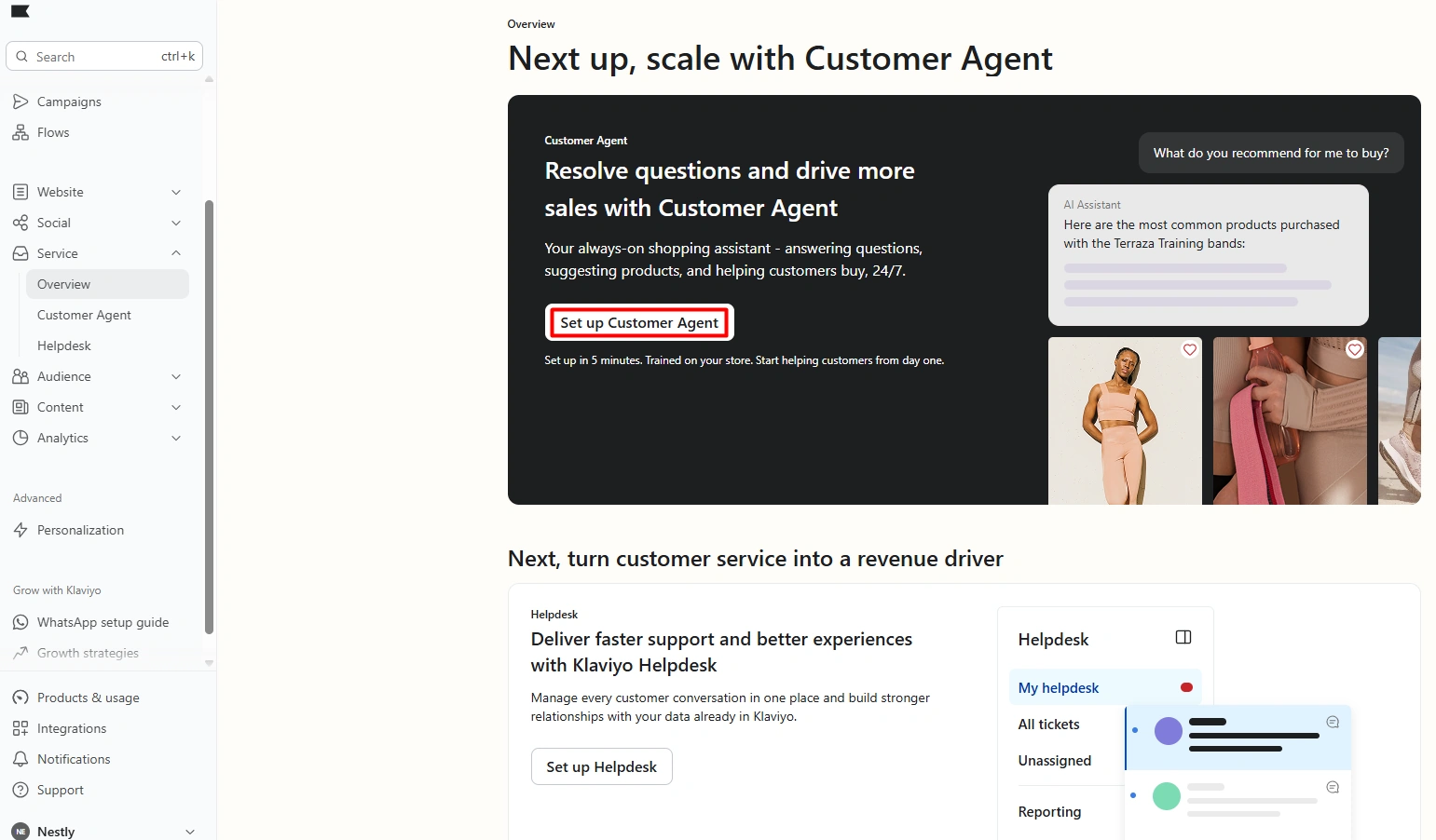 Klaviyo Customer Agent